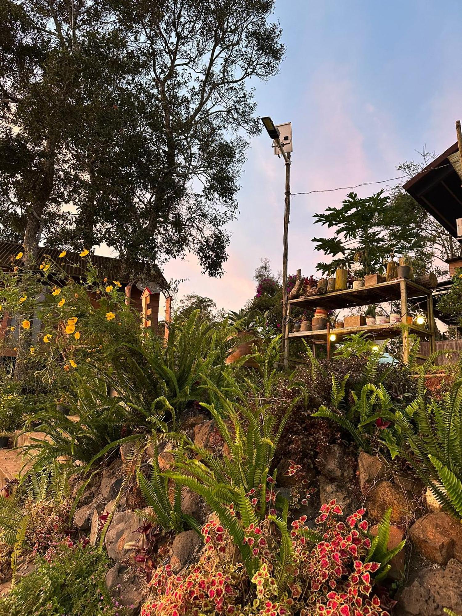 Tà Đùng May Farm Bidong Exterior foto